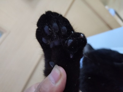 20251224_135843_copy_800x600