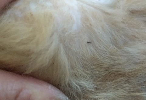 20240521_104312_copy_800x547