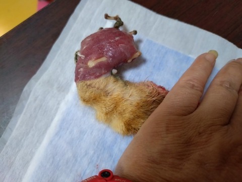 20251026_174323_copy_800x600