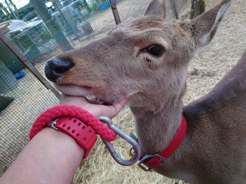 20230421_171617_copy_800x600