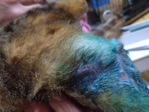 20251212_193019_copy_800x600