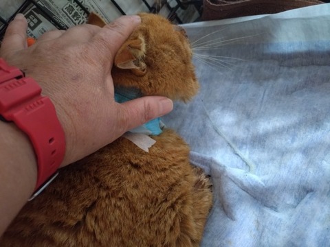 20260222_084250_copy_800x600