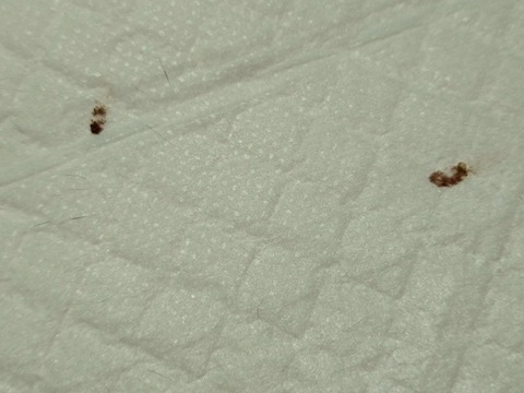 20251007_094226_copy_800x600