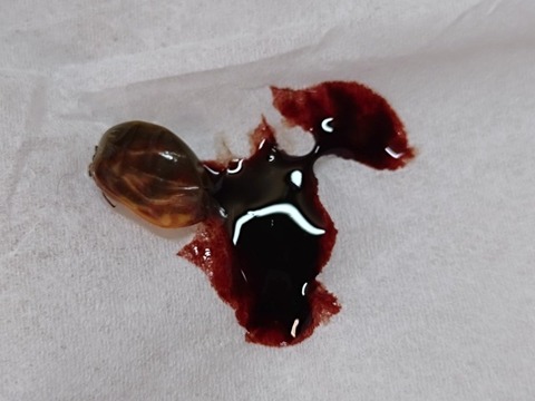 20260222_115601_copy_800x600_1