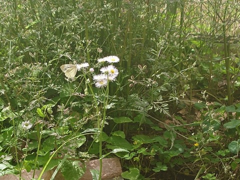 20230606_083007_copy_800x600