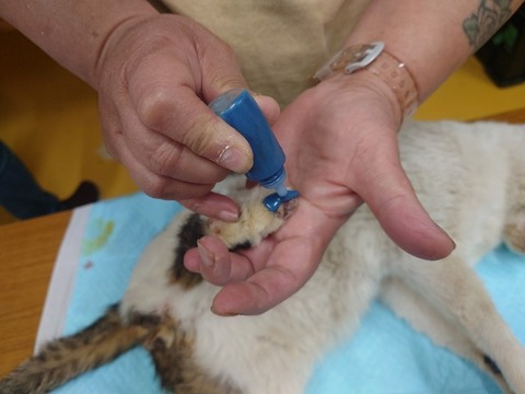 20240312_095954_copy_800x600