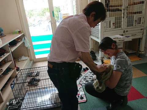 DSC_6891_copy_800x600