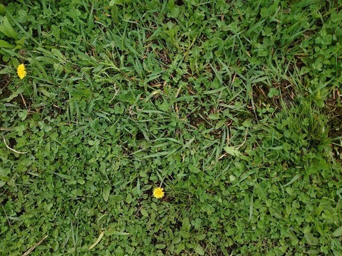 DSC_5687_copy_800x600