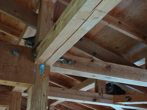 20251011_121842_copy_816x612