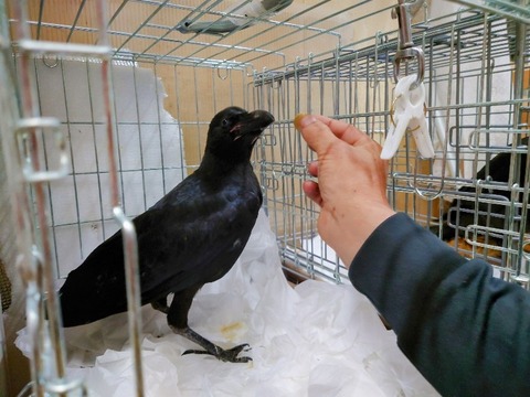 20230618_201341~2_copy_800x600