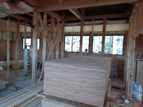 20260105_111405_copy_800x600