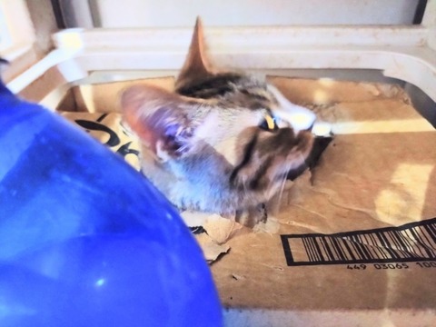 20251023_164425~2_copy_800x600