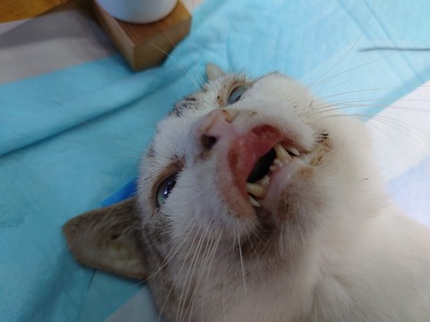 20220722_102116_copy_800x600