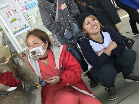 1516945270385-800x600