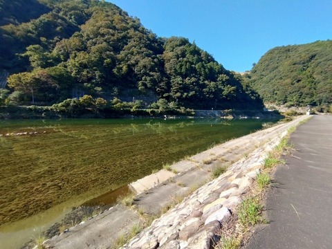 20251023_093142_copy_816x612