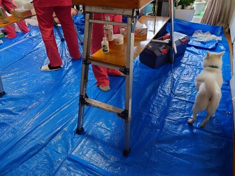 20221010_110952_copy_800x600