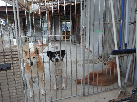DSC_2223_copy_800x600