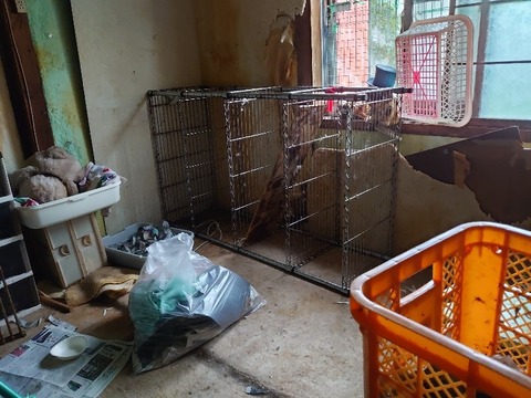 DSC_0322_copy_800x600