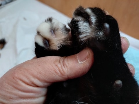 20250223_151531_copy_800x600