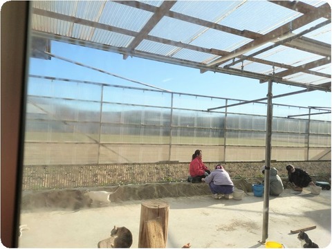 20250116_143625-EDIT