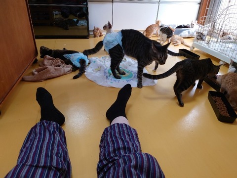 20230901_090216_copy_800x600