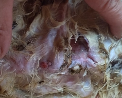 20260107_172103_copy_649x525