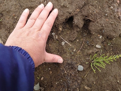 DSC_5690_copy_800x600