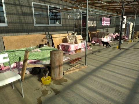 20260115_095510_copy_800x600