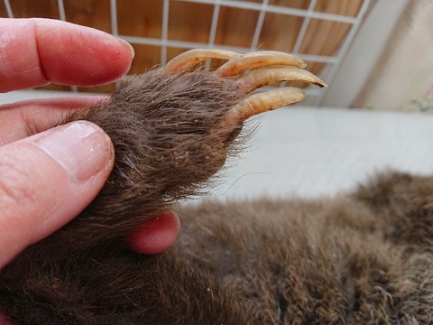 DSC_5839_copy_800x600