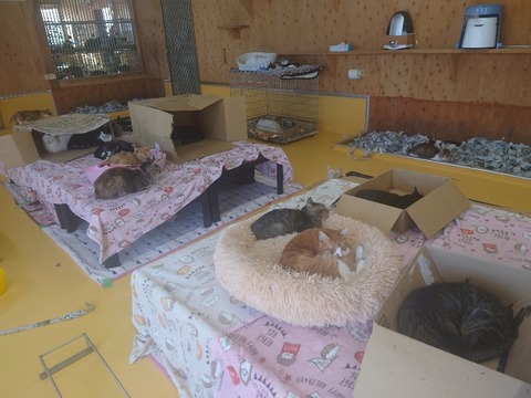 20240302_140203_copy_800x600