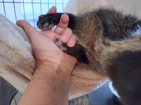 20260224_075029_copy_800x600