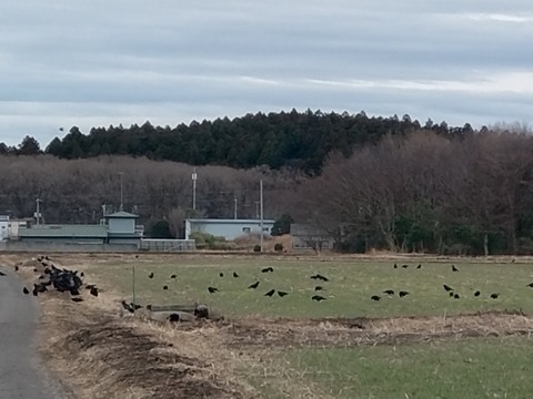 20260211_153840_copy_800x600