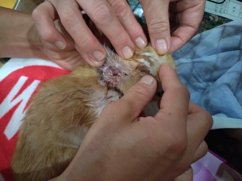 20251020_131506_copy_800x600_1