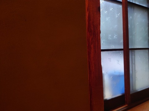 20240212_174754_copy_800x600