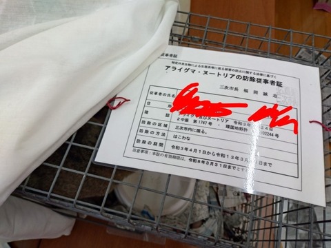 20251207_103320~2_copy_800x600~2