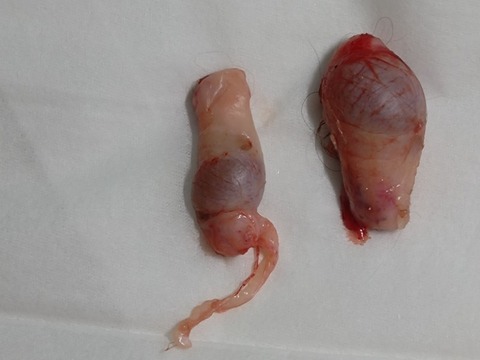 20260310_152031_copy_800x600