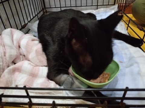 20250925_155410_copy_800x600