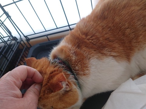 20240125_090210_copy_800x600