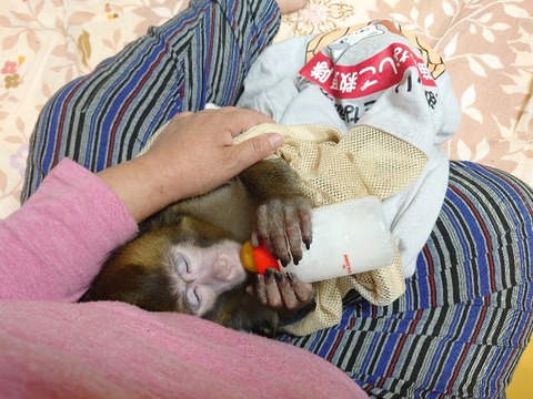 DSC_5016_copy_800x600