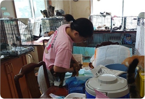 DSC_0911_copy_800x549