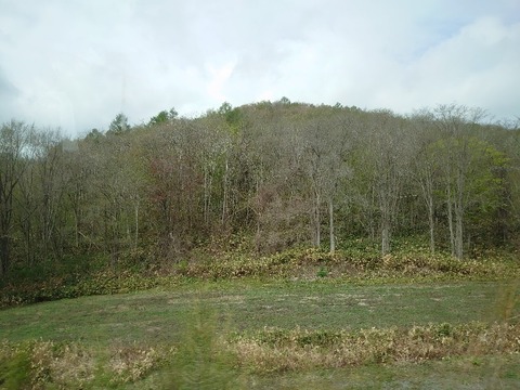 DSC_5635_copy_800x600