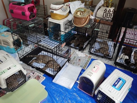 DSC_0324_copy_800x600