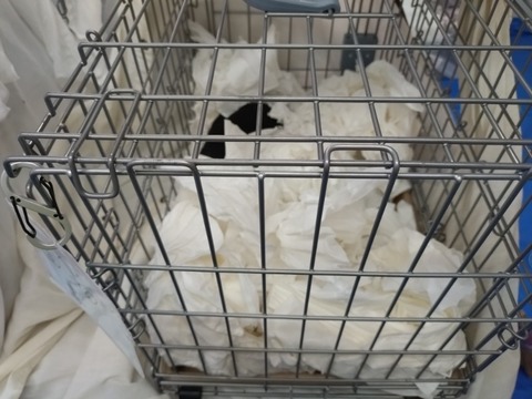 20251202_155433_copy_800x600