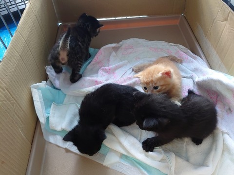 DSC_5680_copy_800x600