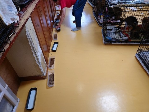 20230301_083736_copy_800x600