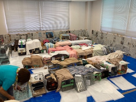 1627542899824_copy_800x600