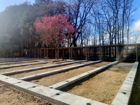 20240302_145628~2_copy_800x600