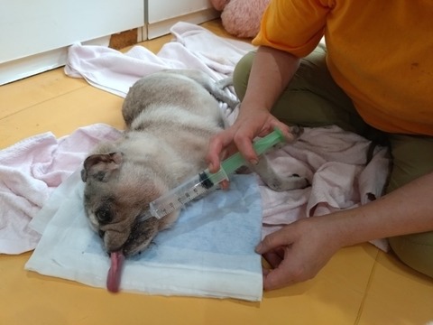 20250621_113941_copy_800x600