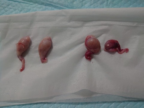 DSC_0318_copy_800x600