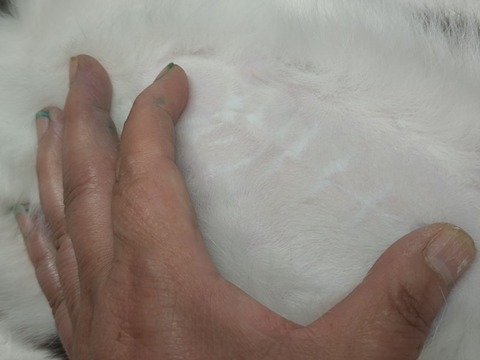 20251214_102337_copy_800x600